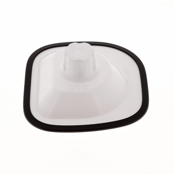 1099072 1 800wx800h.jpeg