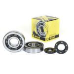 kit roulements et joint spi de vilebrequin prox kx250 '02