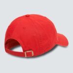casquette oakley remix dad