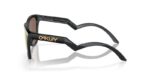 lunettes de soleil oakley frogskins™ hybrid verres prizm 24k polarized