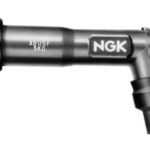 antiparasite ngk xb05fp