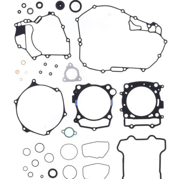 800wx800h 1123602 1.jpg