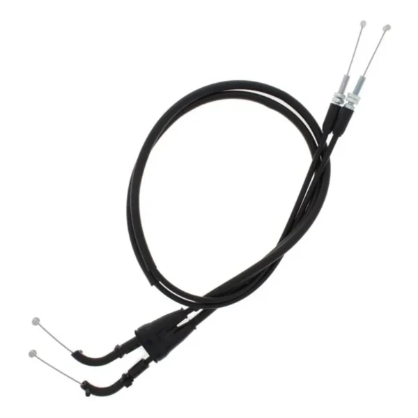 800wx800h-1148676-1